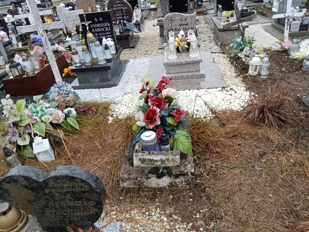 Grób ZBIGNIEW LEWANDOWSKI